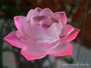 SVIJEĆNJAK - LOTOSOV CVIJET 